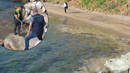Marmara Denizi'nde korkutan manzara! O fabrika hakkında inceleme başlatıldı - Yaşam