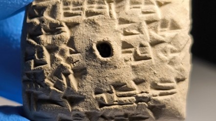 Samuha’da sıra dışı buluntu! Hitit merkezinde ‘kuş kehanet metni’ keşfedildi - Kültür - Sanat