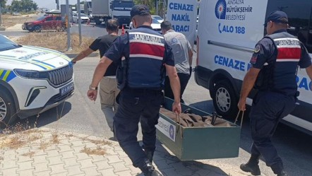 Acı kader… Kanseri yendi ama kazada can verdi - 3. Sayfa