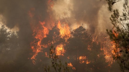 Beştepe'de yangınla mücadele zirvesi... Alevlere karşı "Risk Yönetim Ekibi" oluşturuldu - Gündem