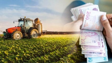 Çiftçilerin hesabına yatırılacak! Bakanlık resmen duyurdu: Tam 826 milyon lira - Gündem