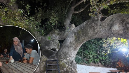 Çınar ağacının yaşını öğrenen çay içmeye gidiyor! Şehrin vazgeçilmez mekanı oldu - Yaşam