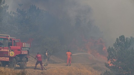 Ankara ve Çanakkale'de çıkan 2 yangın kontrol altına alındı - Gündem