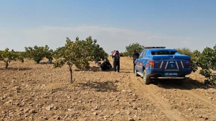 Fıstık hasadı sırasında acı olay: Tarlada son nefesini verdi - 3. Sayfa