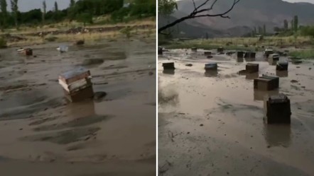 Her yer kavrulurken orada sel oldu, üretici büyük zarara girdi! Tüm arıları telef oldu, yardım istediler - Yaşam