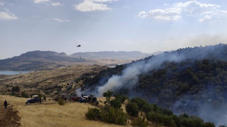 Alevler yerleşim yerlerine çok yaklaştı! Gerger'de orman yangınıyla topyekûn mücadele - 3. Sayfa