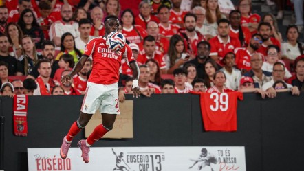 Benfica-Fenerbahçe maçında sakatlanmıştı! Yıldız futbolcu sezonu kapattı - Spor