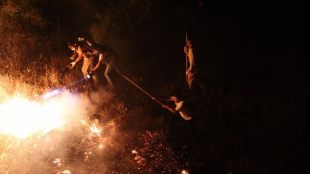 Bingöl'de ormanlık alanda yangın! Ekipler kısa sürede müdahale etti - Gündem