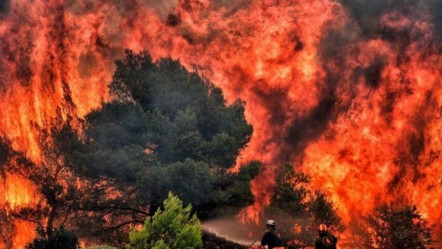 Bir yangın riski de komşudan! Sınırdaki alevler Türkiye'yi tehdit ediyor, acil durum ilan edildi - Gündem