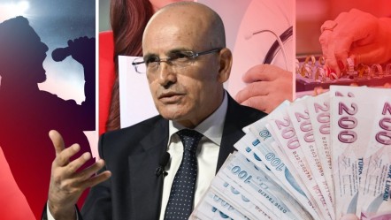 Müzisyen, sunucu, eczacı, doktor, kuyumcu, avukat, kuaför... Bakan Şimşek "Şok olacaksınız" diyerek beyan edilen gelirleri açıkladı - Ekonomi
