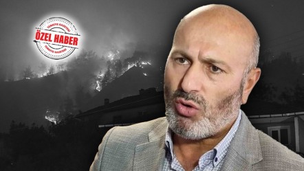 Orman Mühendisleri Odası Başkanı: Belediyelerin görevleri de ormancıya kaldı - Gündem