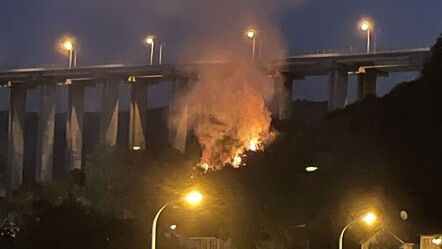 Beykoz'da orman yangını! Büyümeden söndürüldü: 1 kişi gözaltında - haberler