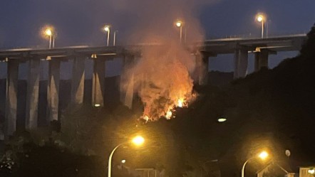 Beykoz'da orman yangını! Çok sayıda ekip bölgeye sevk edildi - Gündem