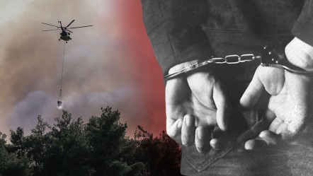 Bursa'dan sonra bu sefer de Sakarya! Orman yangınına ilişkin 2 gözaltı - Gündem
