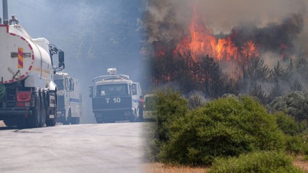 İzmir'de orman yangını! Bornova'daki alevler Buca'ya sıçradı - Gündem