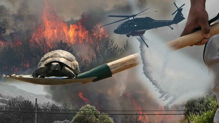 İzmir'de orman yangını! Bornova'daki alevler Buca'ya sıçradı - gundem