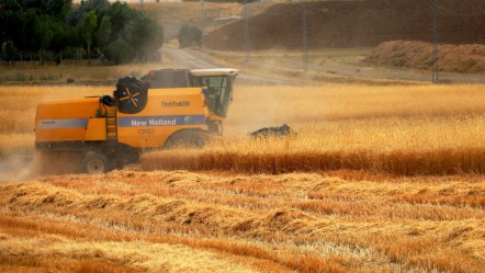 2,5 milyon dekar alana ekildi! Toplamda 1 milyon 200 bin ton ürün hasat edilecek - Ekonomi