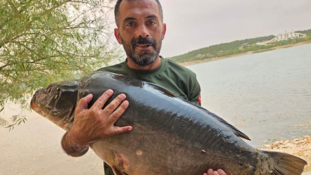 Bilecik'teki Pelitözü Göleti’nde büyük sürpriz! Oltasına devasa balık takıldı - Yaşam