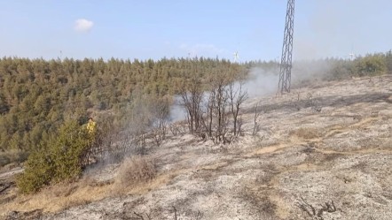 Hatay'da ormanlık alanda yangın! Ekipler hemen müdahale etti - Gündem