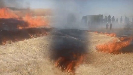 Tam söndürüldü derken, alevler Başkent'te yükseldi! Ankara'da çıkan anız yangını çevreye sıçradı - 3. Sayfa
