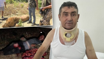 Aslan saldırısına uğrayan adamdan çarpıcı ifade: Rüyama giriyor, bazen aslanla, bazen de farklı hayvanlarla boğuşuyorum - Gündem