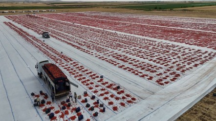 Diyarbakır'da 50 derece sıcaklıkta kurutuluyor! Avrupa'ya ihraç ediliyor - Ekonomi