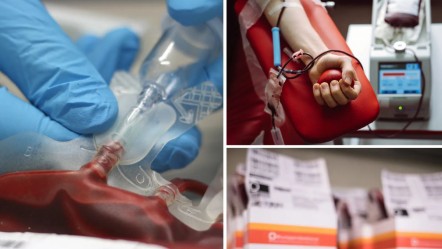 Hindistan'da dünyada ilk kez görülen yeni bir kan grubu keşfedildi - Dünya