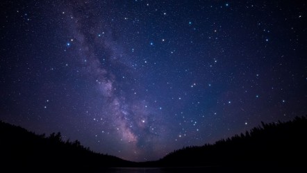 Kuyruk ne zaman doğuyor? 2025 Kuyruk doğumu tarihi belli oldu - Haberler
