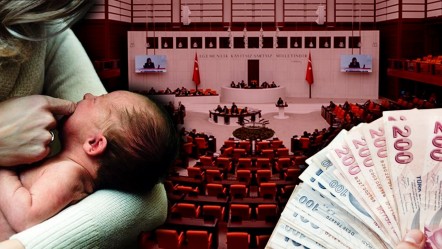 Meclis'teki partiden dikkat çeken öneri: 25 yıl evli kalan anneler emekli olsun - Ekonomi