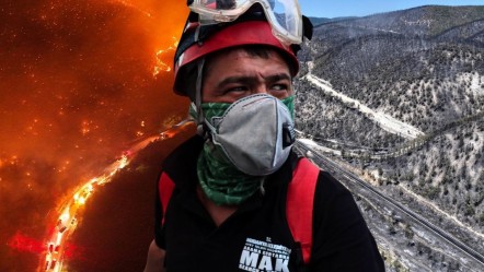 Orman yangınları için sürpriz öneri: Türkiye'nin kâbusuna çare olabilir! - Gündem