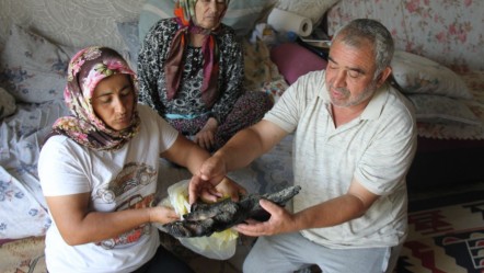 Tüm birikimleri yangında kül oldu! Mağdur aile paraları için Merkez Bankası'na başvurdu - Yaşam