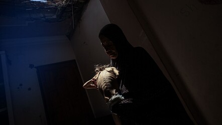 ABD basını İsrail'in katlettiği çocukları tek tek yazdı: Utancın listesi kahretti! - dunya