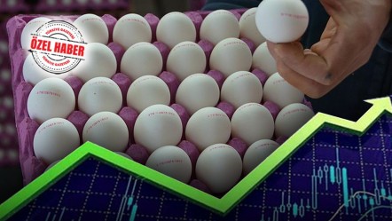 Fon kalktı, ihracat ve talep arttı! Yumurta yine yükselişe geçti - Ekonomi