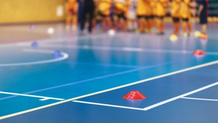 MEB milli sporculardan beden eğitimi öğretmeni alımı ne zaman, nasıl yapılacak? - Haberler