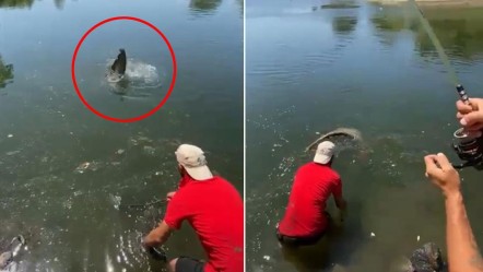 Meriç Nehri'nden oltayla devasa yayın balığı yakaladılar! Ağırlığı tam 73 kilo - Yaşam