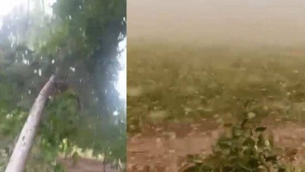 Olay anlar... Şanlıurfa’da 50 derece yetmedi, bir de fırtına geldi! Çiftçiler kaçacak yer aradı - Gündem