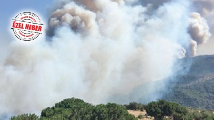 Yangın bölgelerine uyarı: Kül yağmurları astımı tetikliyor - Sağlık