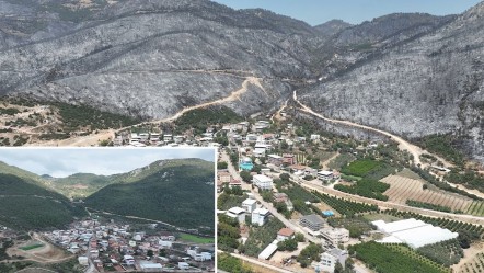 Yeşil Bursa, kara toprağa döndü... Gürsu'yu şimdi görenler 'ah' çekti - Gündem