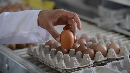 Bakanlık piyasayı sıkı takipte! Yumurta üreticisinin eli rahatladı - Ekonomi