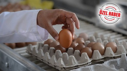 Bakanlık piyasayı sıkı takipte! Yumurta üreticisinin eli rahatladı - Ekonomi