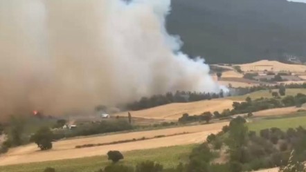 Bursa’da bir orman yangını daha! Ekipler müdahale ediyor - Gündem