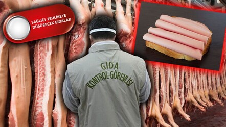 Gıdada bir skandal daha! 60 yıllık markanın salamından domuz eti çıktı - ekonomi