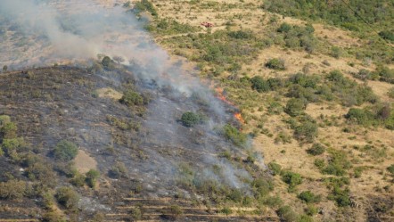 Tekirdağ'da makilik alanda korkutan yangın! Kısa sürede müdahale edildi - Gündem