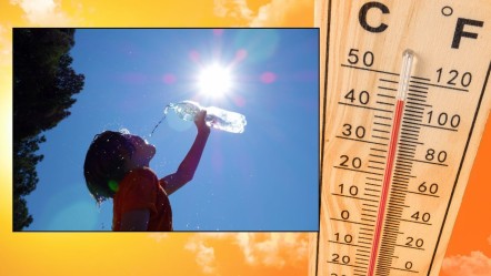 1 haftada 264 kişi hayatını kaybetti! Aşırı sıcaklar kabusa dönüştü - Dünya