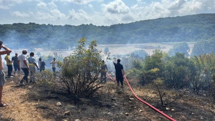 Kırklareli'nde orman yangını! Alevler kısa sürede söndürüldü - Gündem