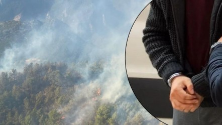 Mersin'de benzin döküp orman yakmışlardı! 2 şahıs tutuklandı - 3. Sayfa