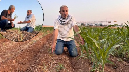 400 bin TL'lik yatırıma rağmen tarla boş kaldı... Suruçlu çiftçi isyan etti: Ruh sağlığım bozuldu - Ekonomi