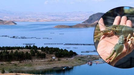 Göl kenarında gördükleriyle şaşkına döndüler! Endişeye düşüren manzara sonrası araştırma talep ettiler - Yaşam