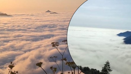 Nadir ortaya çıkıyor, gören telefonuna sarılıyor! Kendine hayran bıraktı - Yaşam