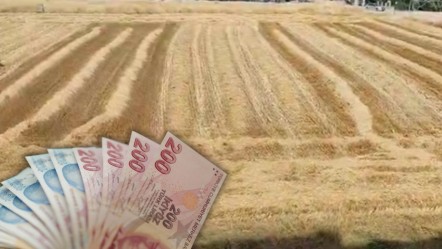 30 milyon değerindeki tarlasını satmadı, yalnızca 39 bin TL gelir elde etti... "Tarımda gelinen son nokta" diyerek paylaştı - Ekonomi
